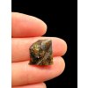 Meteorite Pallasit Pallasovka 2,3g – Russia