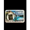 Meteorit Pallasit Springwater 4,1g – Kanada