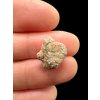 Lunar meteorite Bechar 007 – 0,8g – Algeria