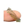 Moldavite – Chlum – 0,2g