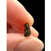 Meteorit NWA 7831 – 0,1g – Západní Sahara