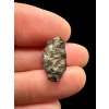 Meteorite NWA 869 – 1,2g – Northwest Africa