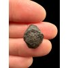 Meteorite NWA 869 – 2,6g – Northwest Africa