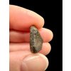 Meteorite NWA 869 – 2,7g – Northwest Africa