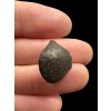 Meteorite NWA 869 – 2g – Northwest Africa