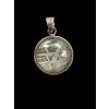 Aletai meteorite pendant