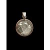Aletai meteorite pendant