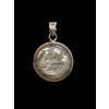 Aletai meteorite pendant