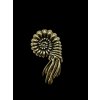 Brass ammonite