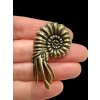 Brass ammonite