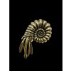 Brass ammonite