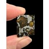 Meteorite Seymchan 2,5g – Extra quality – Magadan, Russia
