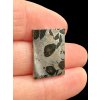 Meteorit Seymchan 3,6g – Magadan, Russland