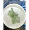 Moldavite in box – Besednice Jezkovna