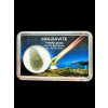 Moldavite in box – Olesnice
