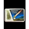 Moldavite in box – Olesnice
