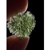 Moldavite – Marouskovo pole – 2,1g