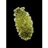 Moldavite – Maly Chlum – 12,6g