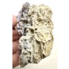 Hroznový chalcedon – Sulawesi – Indonésie – 65g