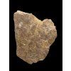 Trilobit Conocoryphe cirina – Rejkovice, CZ