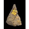 Trilobit Ellipsocephalus vetustus – Rejkovice, CZ