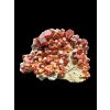 Vanadinite – Morocco