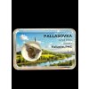 Meteorit Pallasit Pallasovka 1,8g – Russland