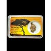 Meteorit Pallasit Sericho 1,9g – Kenia