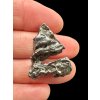 Meteorit Campo del Cielo 6-8g – Argentina / náhodný kus