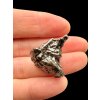 Meteorit Campo del Cielo 15-16g – Argentina / náhodný kus
