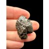 Meteorit Campo del Cielo 13g – Argentina
