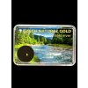 Gold in box – Bela river, CZ
