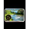 Gold in box – Bela river, CZ