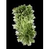 Moldavite – Besednice Jezkovna – 17g