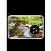 Gold in box – Bojov creek, CZ