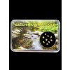 Gold in box – Bojov creek, CZ