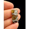 Meteorit Pallasit Brahin 2,7g – Extra Qualität – Belarus