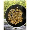 0,1g of gold in box – Otava, CZ