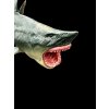Plastikmodell eines Megalodons