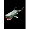 Plastic model of a megalodon