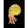 Plastic model of an ammonite