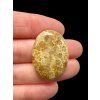 Fossiler Koral Cabochon – Indonesien