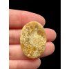 Fossil coral cabochon – Indonesia