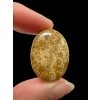Fossil coral cabochon – Indonesia
