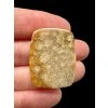 Fossil coral cabochon – Indonesia