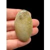 Fossil coral cabochon – Indonesia