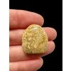 Fossil coral cabochon – Indonesia