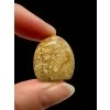 Fossiler Koral Cabochon – Indonesien