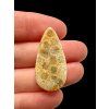 Fossil coral cabochon – Indonesia