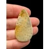Fossil coral cabochon – Indonesia